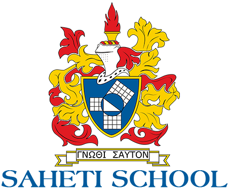 Saheti School Logo